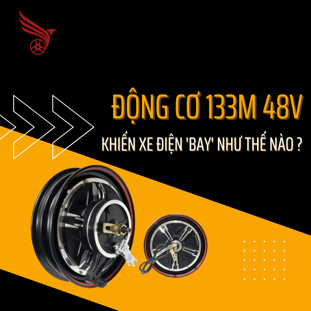 dong_co_133m_48v_khien_xe_dien_bay_nhu_the_nao_1