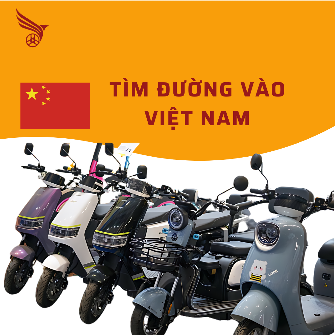 loat_xe_may_dien_trung_quoc_tim_duong_vao_viet_nam