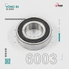 vong-bi-xe-dien-6003-kjyj-chinh-hang-em-de-lap - ảnh nhỏ  1