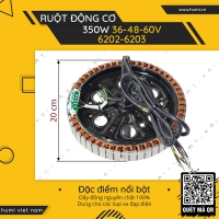 Ruột Đông Cơ Xe Điện 350W Bi 6202 6203