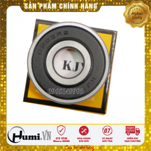 Vòng Bi 6302