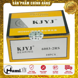 Vòng Bi 6003