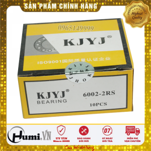 Vòng Bi 6002