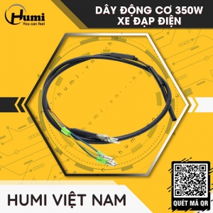 Dây Động Cơ Xe Đạp Điện 350W | Miễn Phí Vận Chuyển