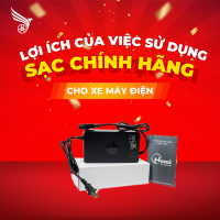 Lợi ích của việc sử dụng sạc chính hãng cho xe máy điện