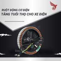 RUỘT ĐỘNG CƠ ĐIỆN CHÍNH HÃNG - TĂNG TUỔI THỌ CHO XE ĐIỆN CỦA BẠN