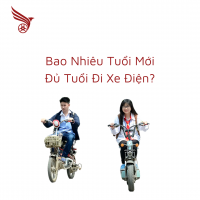 Bao Nhiêu Tuổi Mới Đủ Tuổi Đi Xe Điện?