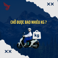 Xe Máy Điện Có Thể Chở Được Bao Nhiêu Kg?
