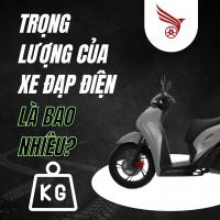 Trọng Lượng Của Xe Điện Là Bao Nhiêu?