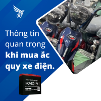 Thông tin quan trọng khi mua ắc quy xe điện.