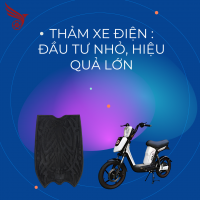 THẢM XE ĐIỆN: ĐẦU TƯ NHỎ, HIỆU QUẢ LỚN
