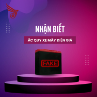 Làm thế nào để nhận biết ắc quy xe máy điện giả?