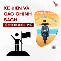 Xe Điện và Các Chính Sách Hỗ Trợ Từ Chính Phủ