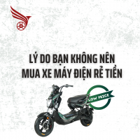 Lý Do Bạn Không Nên Mua Xe Máy Điện Rẻ Tiền