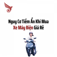 Nguy Cơ Tiềm Ẩn Khi Mua Xe Máy Điện Giá Rẻ