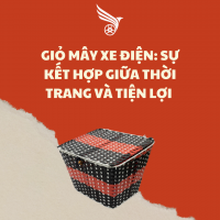 GIỎ MÂY XE ĐIỆN : SỰ KIỆN HỢP GIỮA THỜI TRANG VÀ TIỆN LỢI